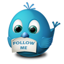 twitter follow me icon